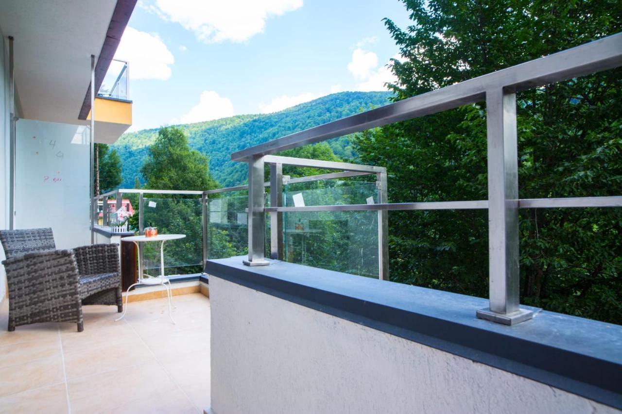 Vlad Apartments -Colina Marei Sinaia Extérieur photo